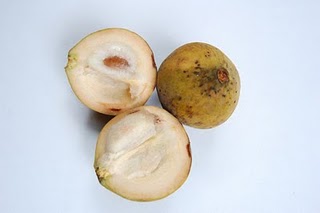 khozonk
