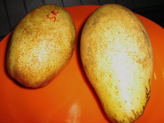 betawi